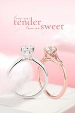 New arrival Collection - Love me Tender, love me sweet