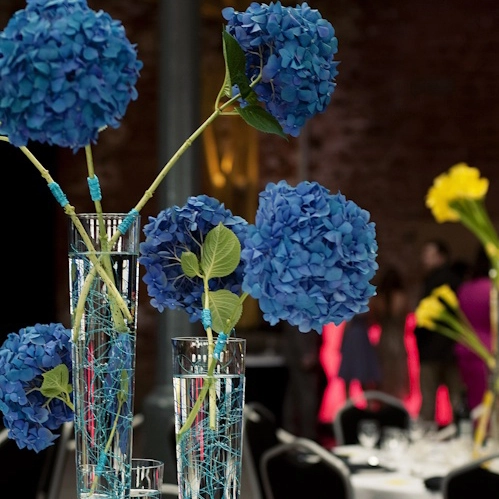 Hoa trang trí đám cưới- hoa cẩm tú cầu