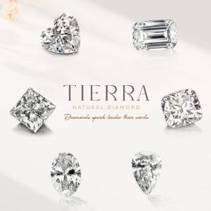 Ngoài quan tâm đến kim cương 1 carat giá bao nhiêu thì 1 địa chỉ mua kim cương uy tín rất quan trọng
