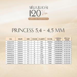 Princess5,4-4,5mm.jpg