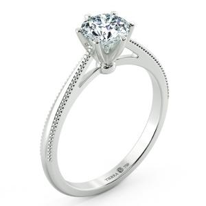 Shiny Cathedral Engagement Ring with Milgrain Band and Six Prong Setting NCH1502 4