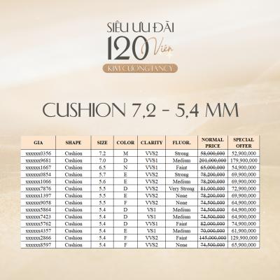 Cushion-7.2---5.4mm.jpg