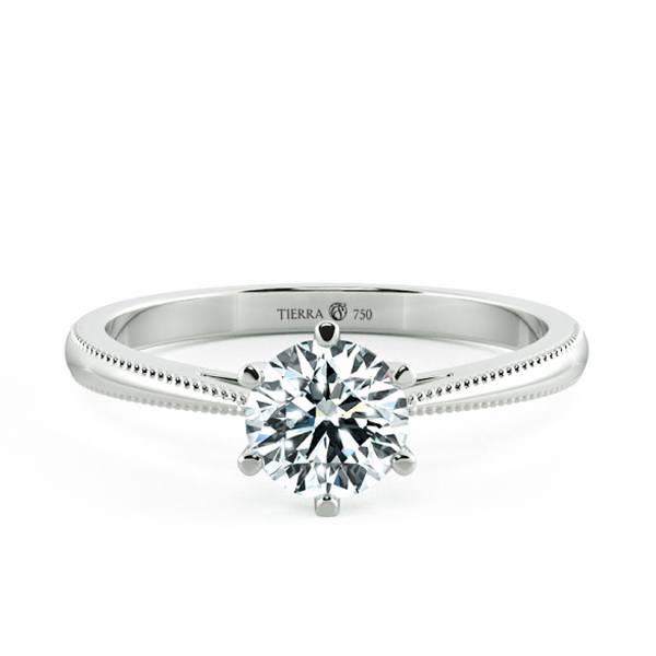 Shiny Cathedral Engagement Ring with Milgrain Band and Six Prong Setting NCH1502