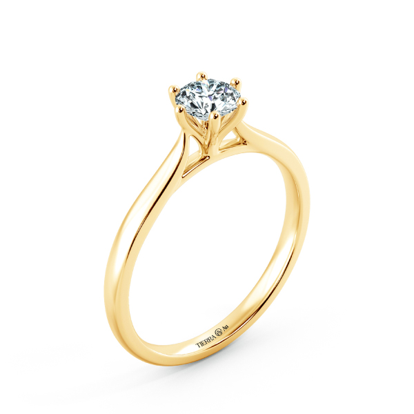 Basic Shiny Cathedral Engagement Ring with Six Prong Setting NCH1503 4