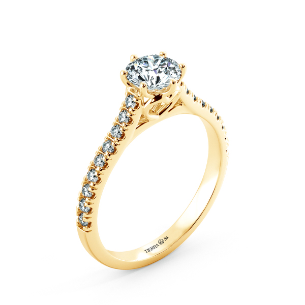 Hearty Cathedral Engagement Ring with Eternity Band NCH1505 4