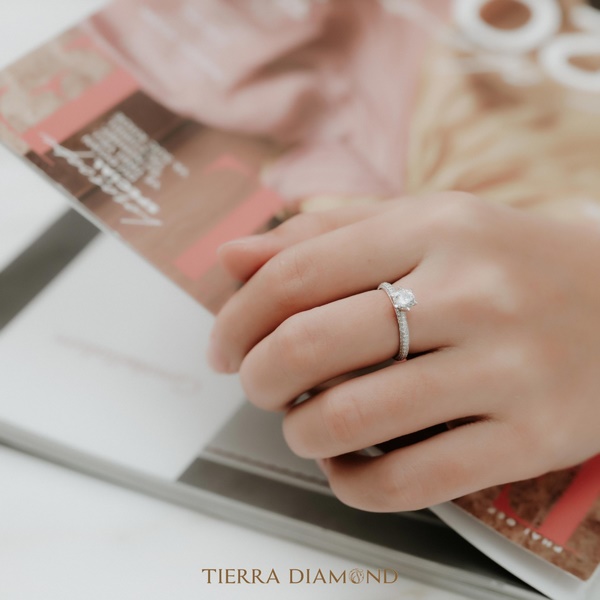 Nhẫn kim cương Tiffany full tấm ở đai & chấu NKC1201 6