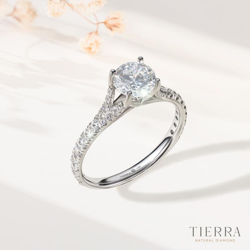 Nhẫn kim cương đẹp với nhiều mẫu mã đa dạng tại Tierra Diamond