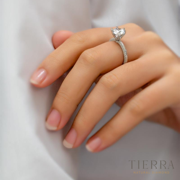 Nhẫn nữ vàng trắng nạm kim cương Tiffany full tấm ở đai & chấu NCH1201