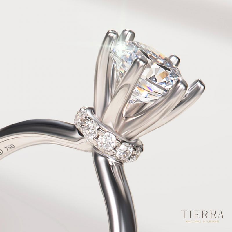 Nhẫn cầu hôn kim cương Tierra Diamond