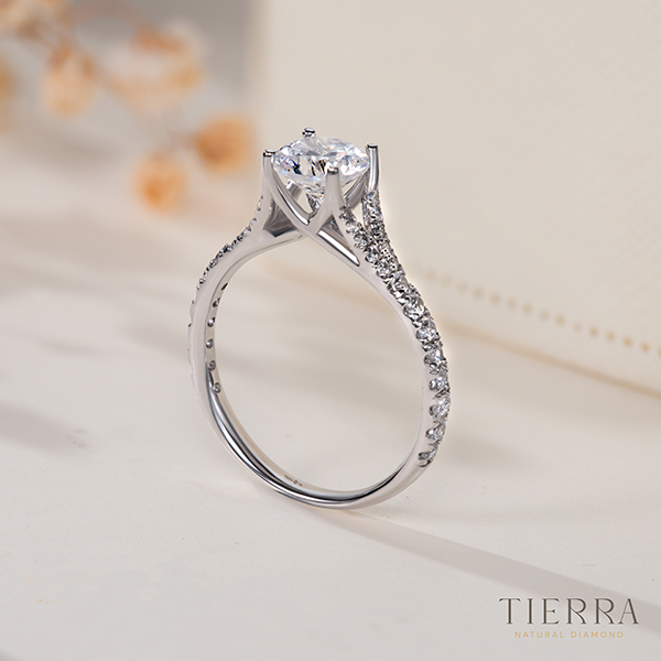 Phụ kiện thời trang: Trellis - Mẫu nhẫn kim cương mang vẻ đẹp hiện đại, thanh lị Nch-1404-FdQ0BWrZ6z