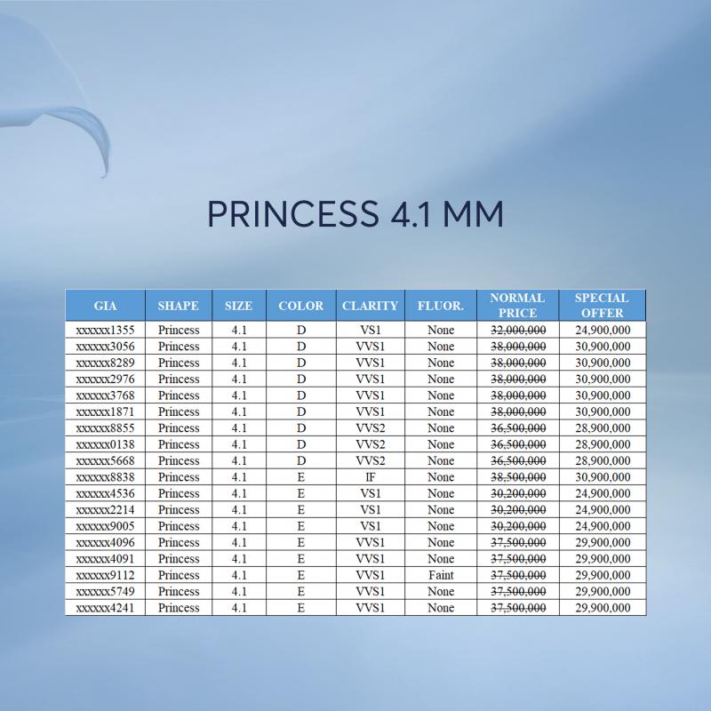 PRINCESS-4.1MM1.jpg