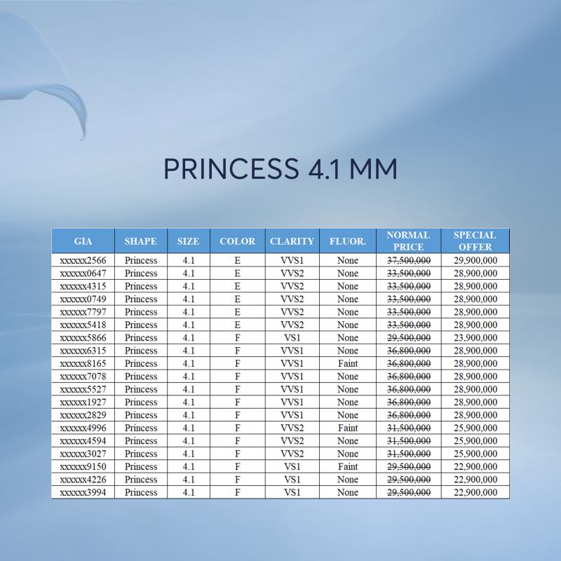 PRINCESS-4.1MM2.jpg
