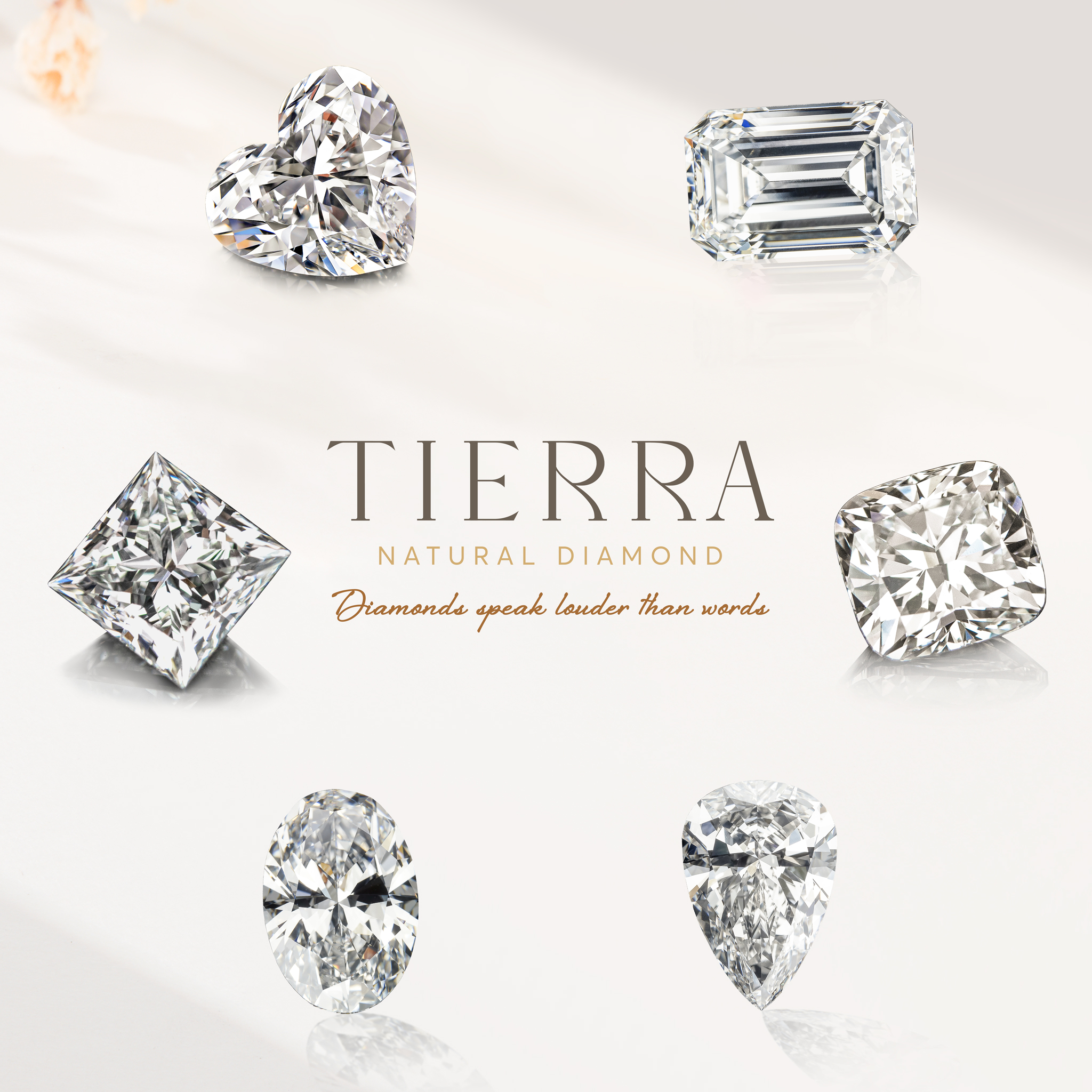 Bảng giá kim cương tại Tierra Diamond - Khẳng định giá cả luôn đi cùng