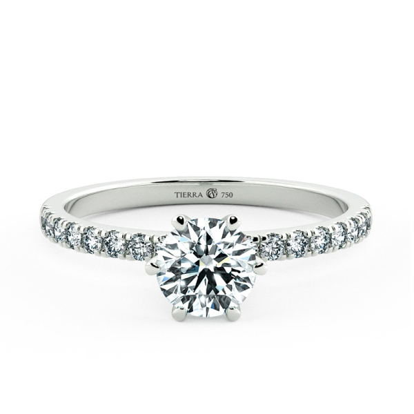 Six Prongs Solitaire Pave Engagement Ring NCH1203