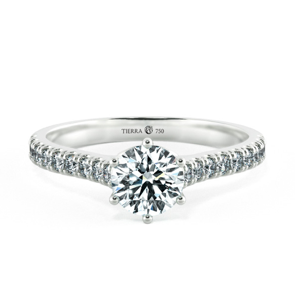 Hearty Cathedral Engagement Ring with Eternity Band NCH1505