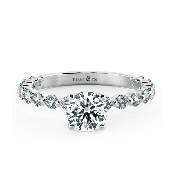 Solitaire Engagement Ring with Eternity Band NCH1804