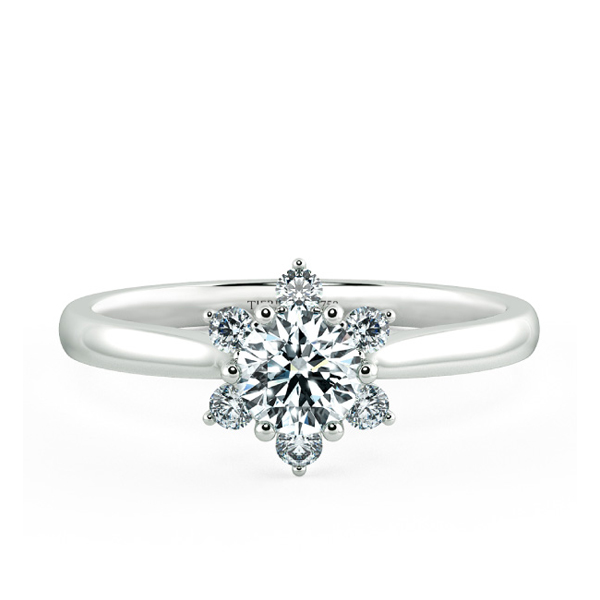 Small Halo Snowflake Engagement Ring with Shiny Band NCH2001