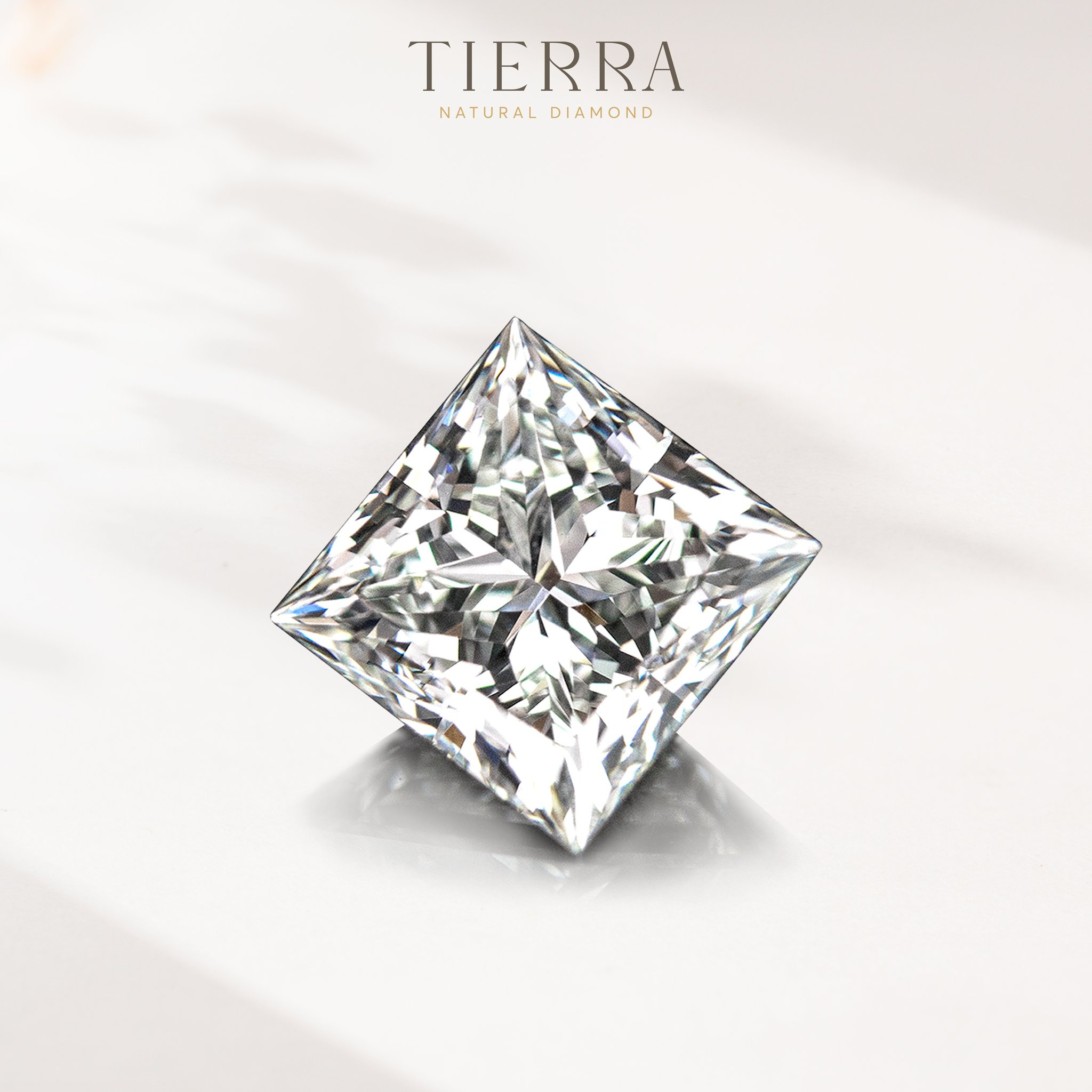 Bảng giá kim cương tại Tierra Diamond - Khẳng định giá cả luôn đi cùng - 1