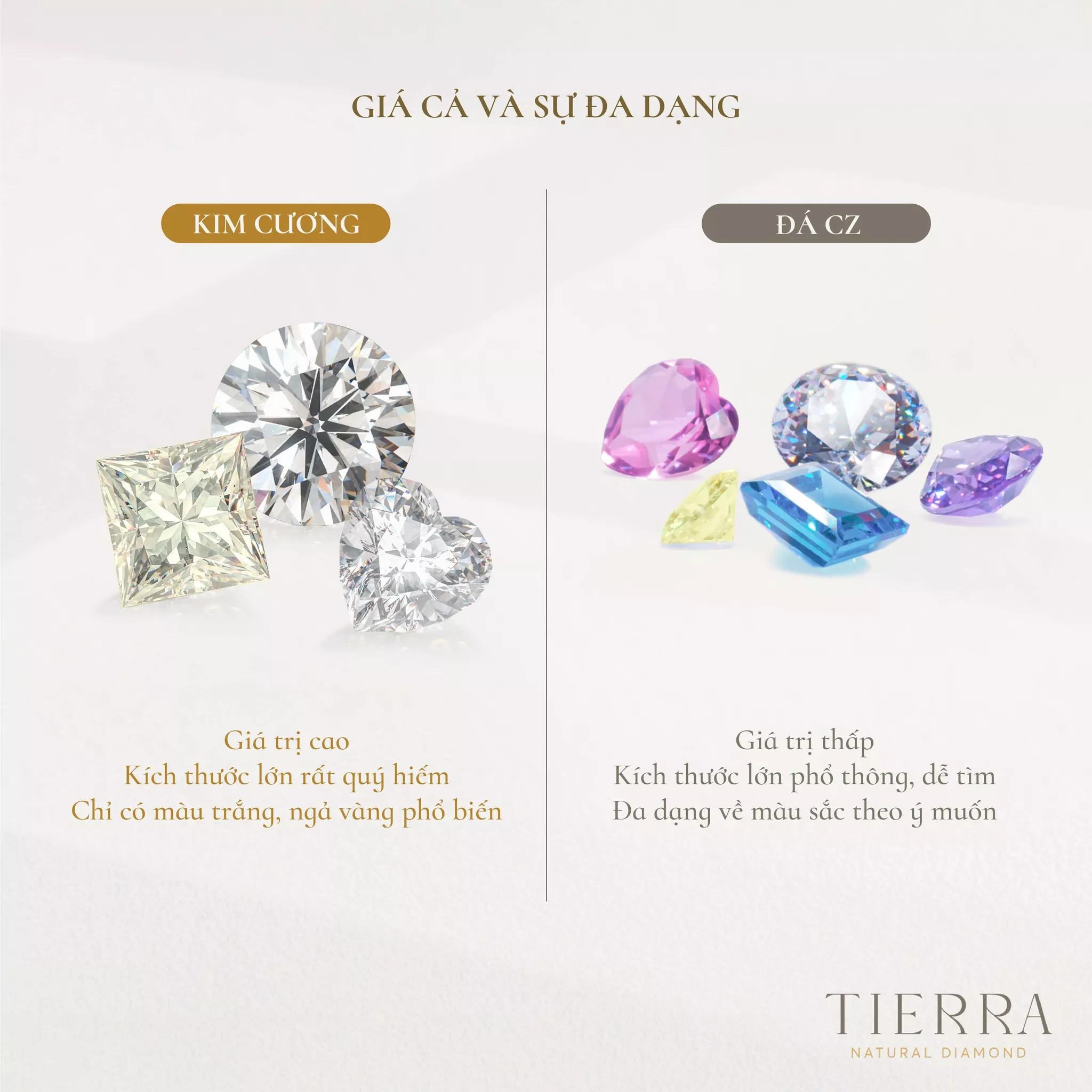 Giá cả và sự đa dạng màu sắc là điểm rất dễ nhận biết