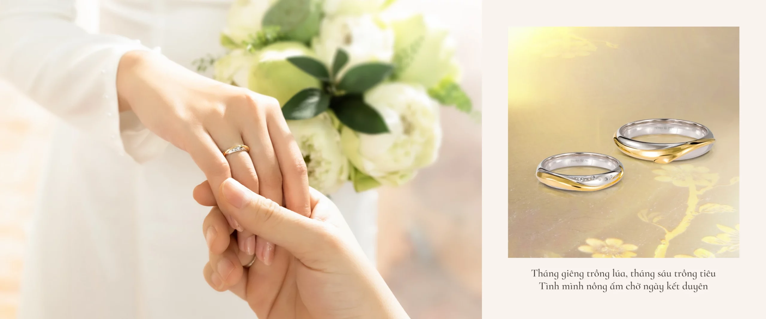Bộ sưu tập nhẫn cưới kim cương Tierra