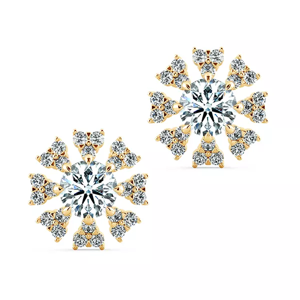 Image Related Product