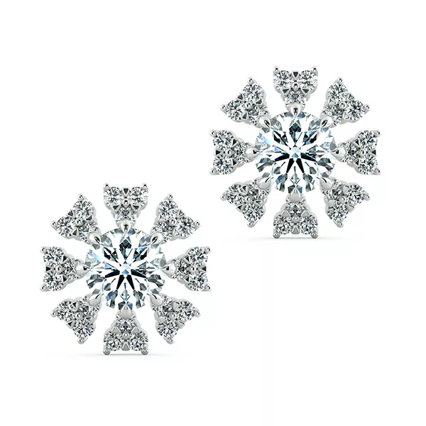 Image Related Product