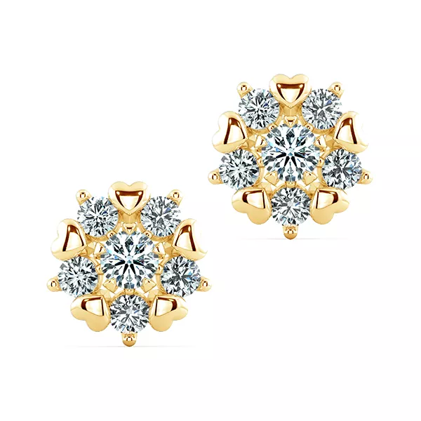 Image Related Product
