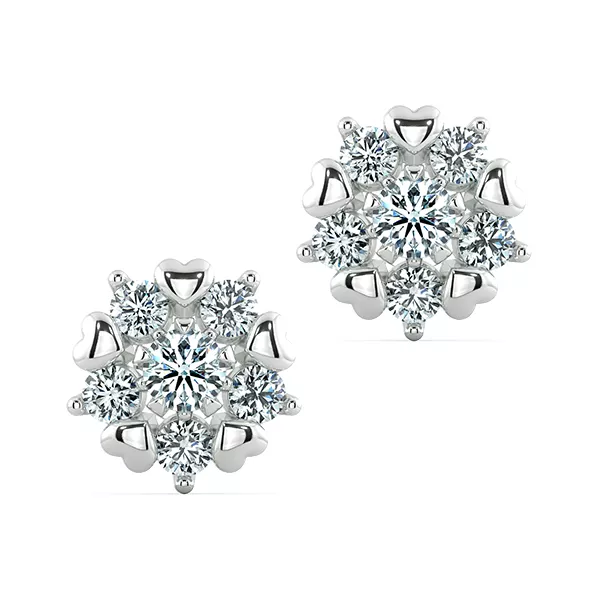 Image Related Product