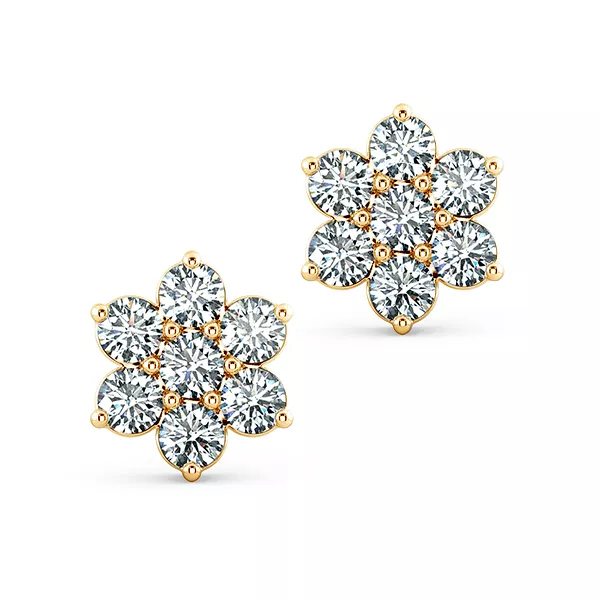 Image Related Product