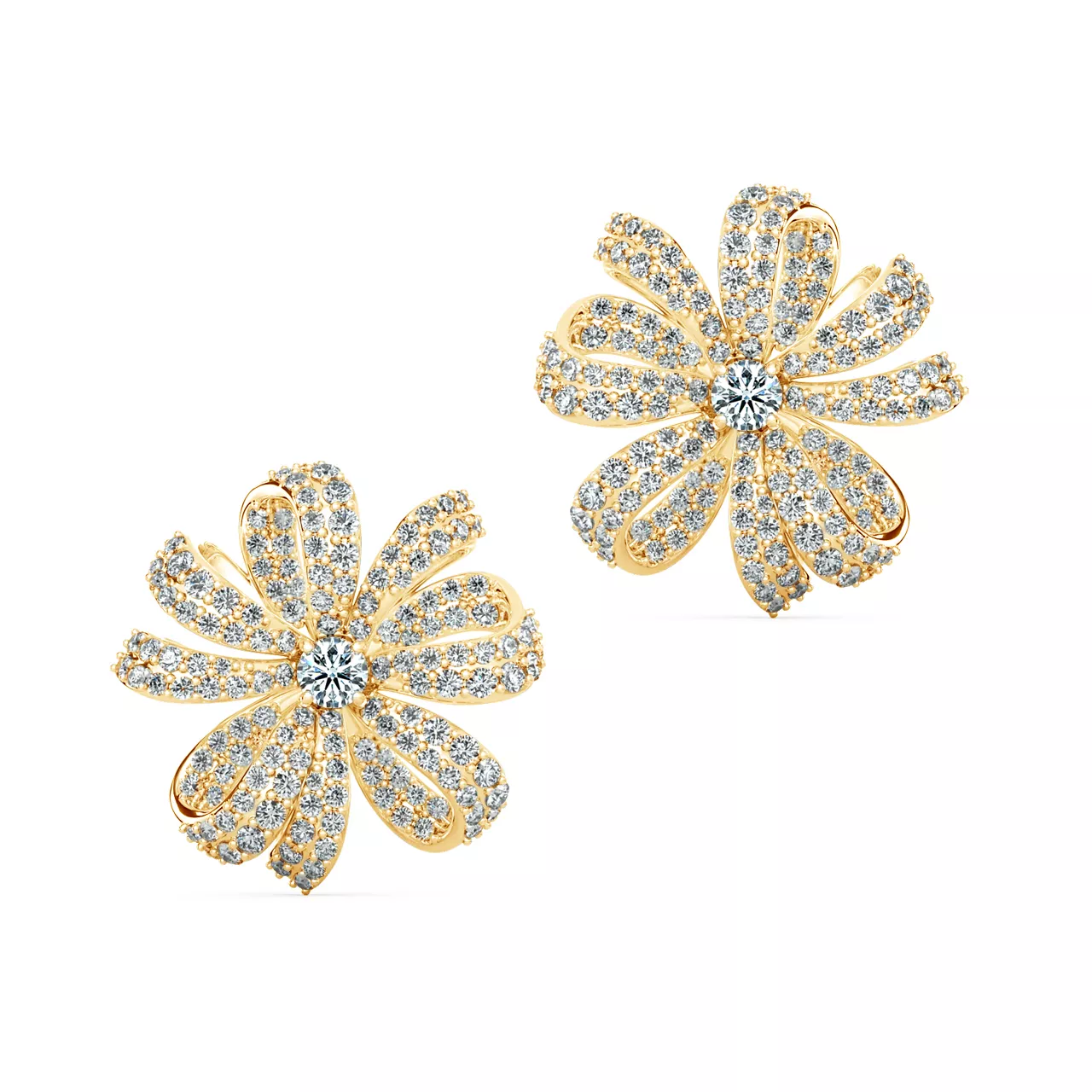 Image Related Product