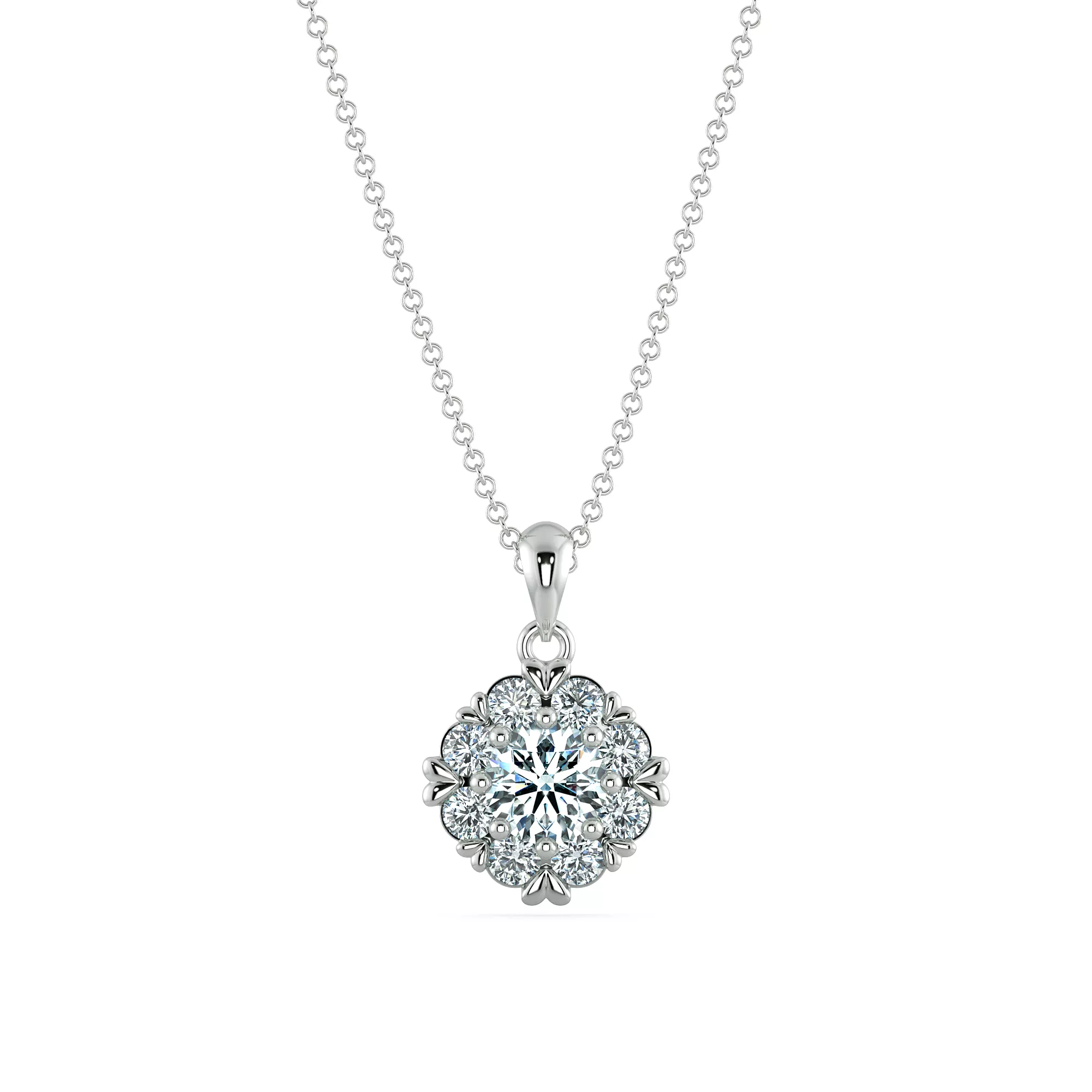 Image Related Product