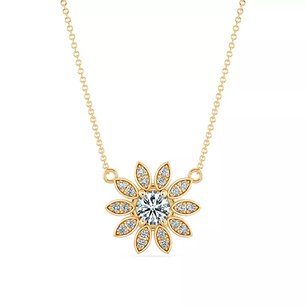 Image Related Product