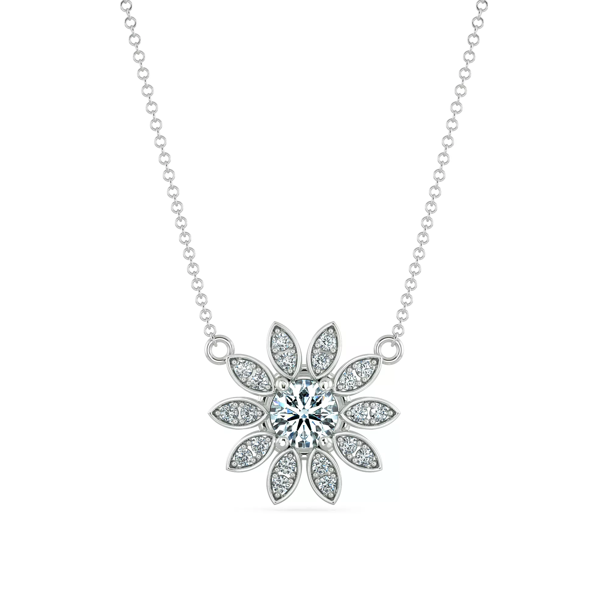 Image Related Product