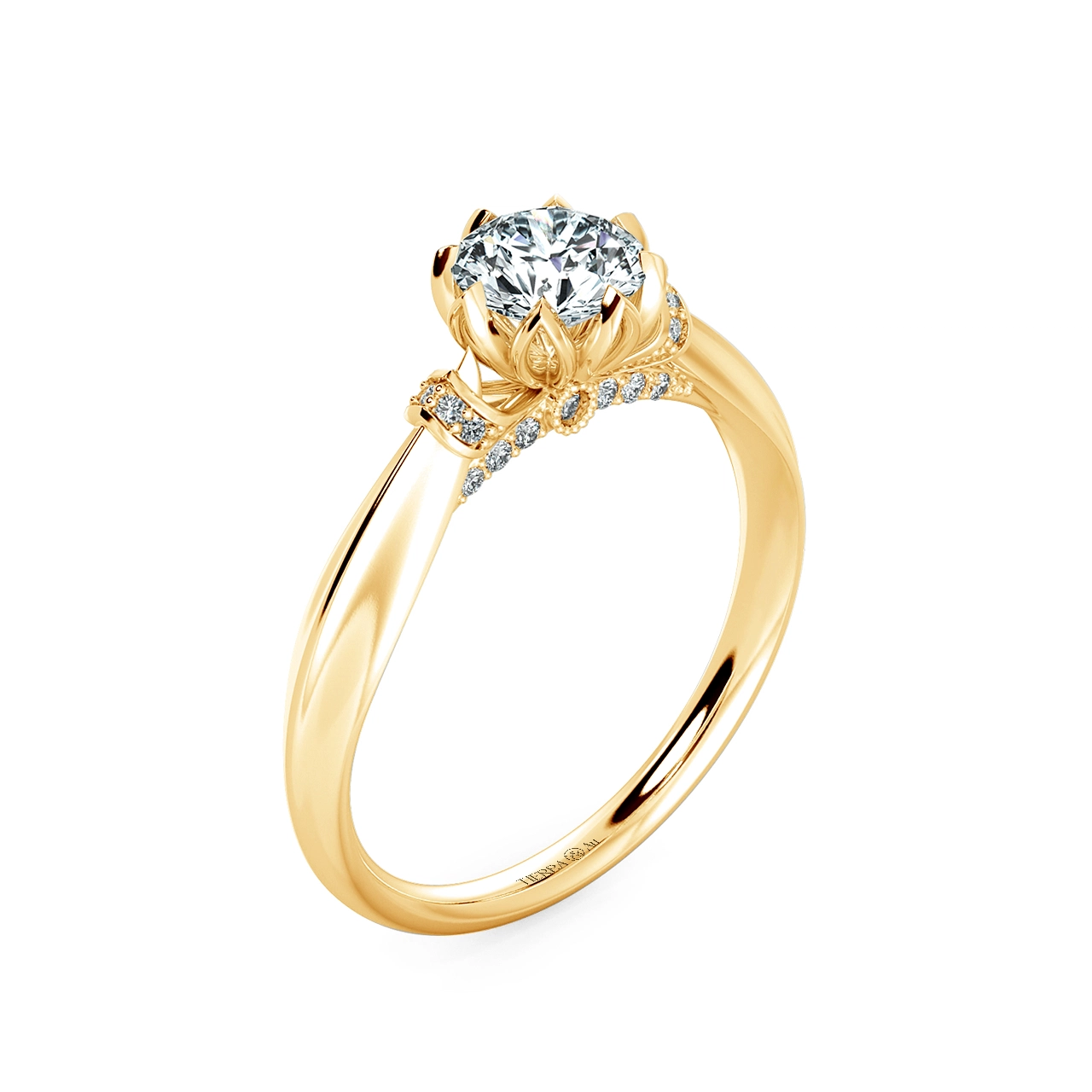 Image Related Product