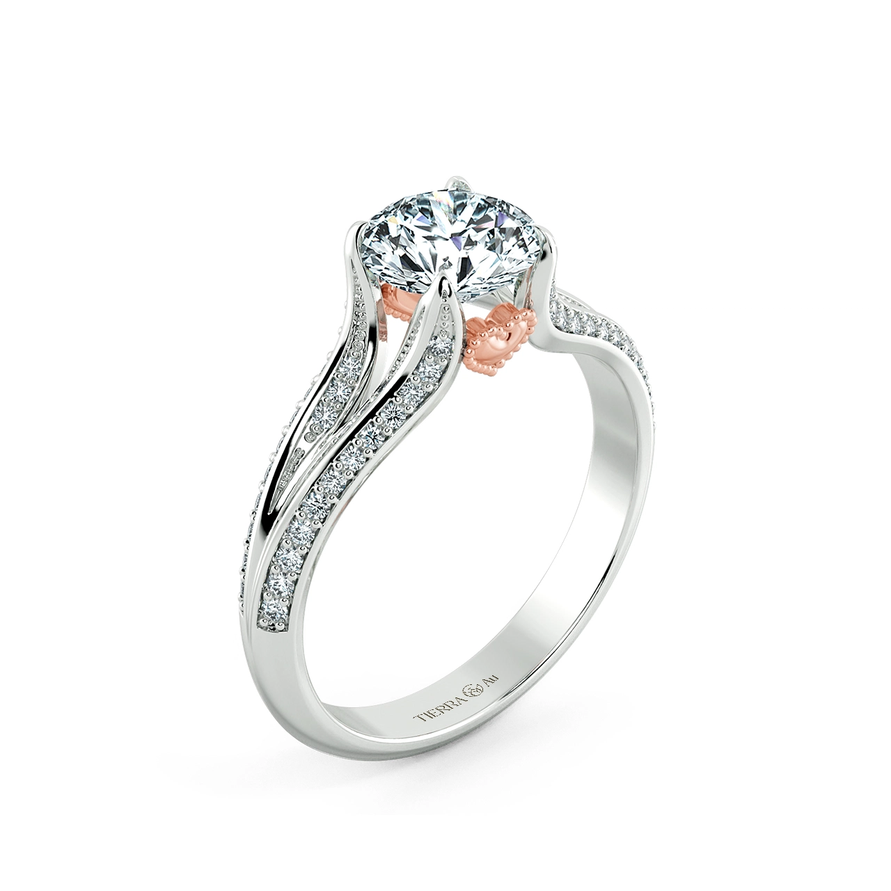 Image Related Product