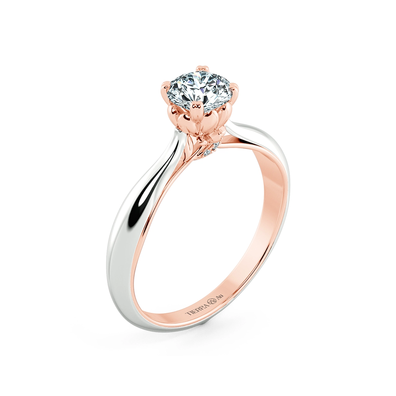 Image Related Product