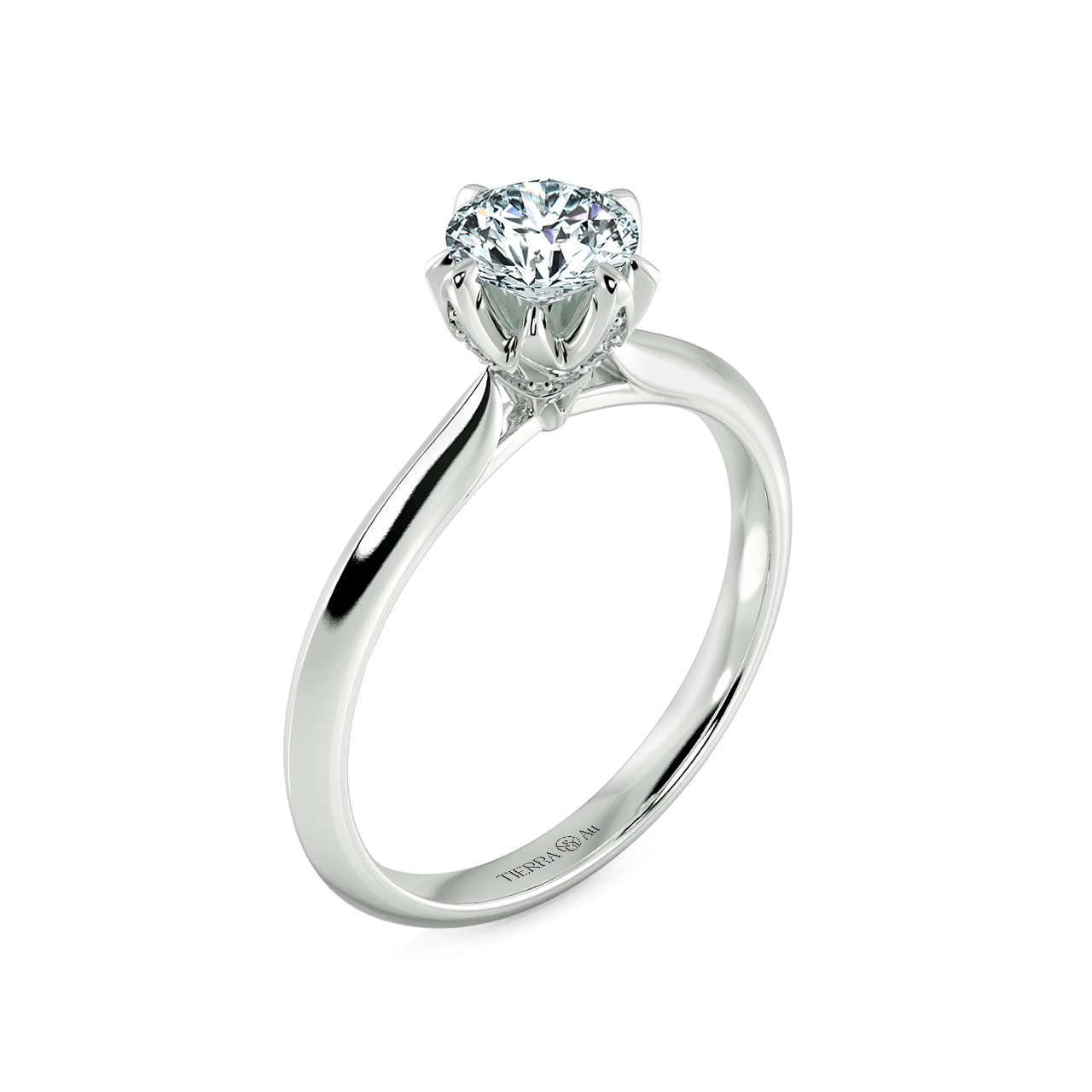 Image Related Product