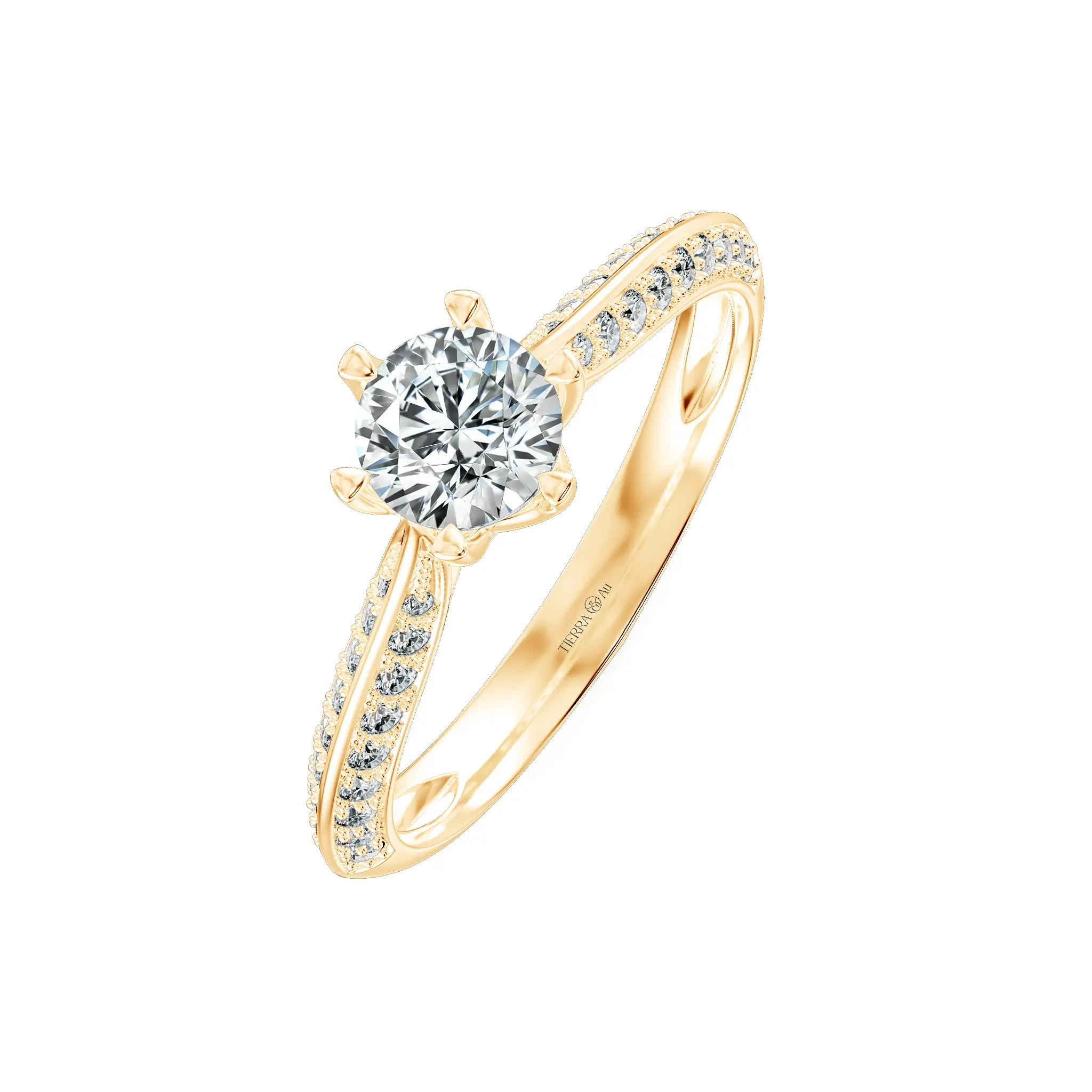 Image Related Product