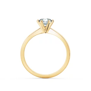 Nhẫn cầu hôn Elegant Shape NCH1104