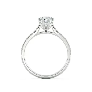 Nhẫn cầu hôn True Beauty NCH1204