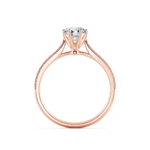 Nhẫn cầu hôn True Beauty NCH1204