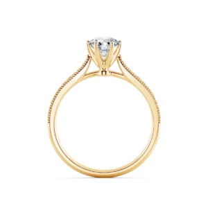 Nhẫn cầu hôn True Beauty NCH1204