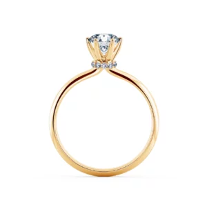 Nhẫn cầu hôn Lovely Honey BCH1303