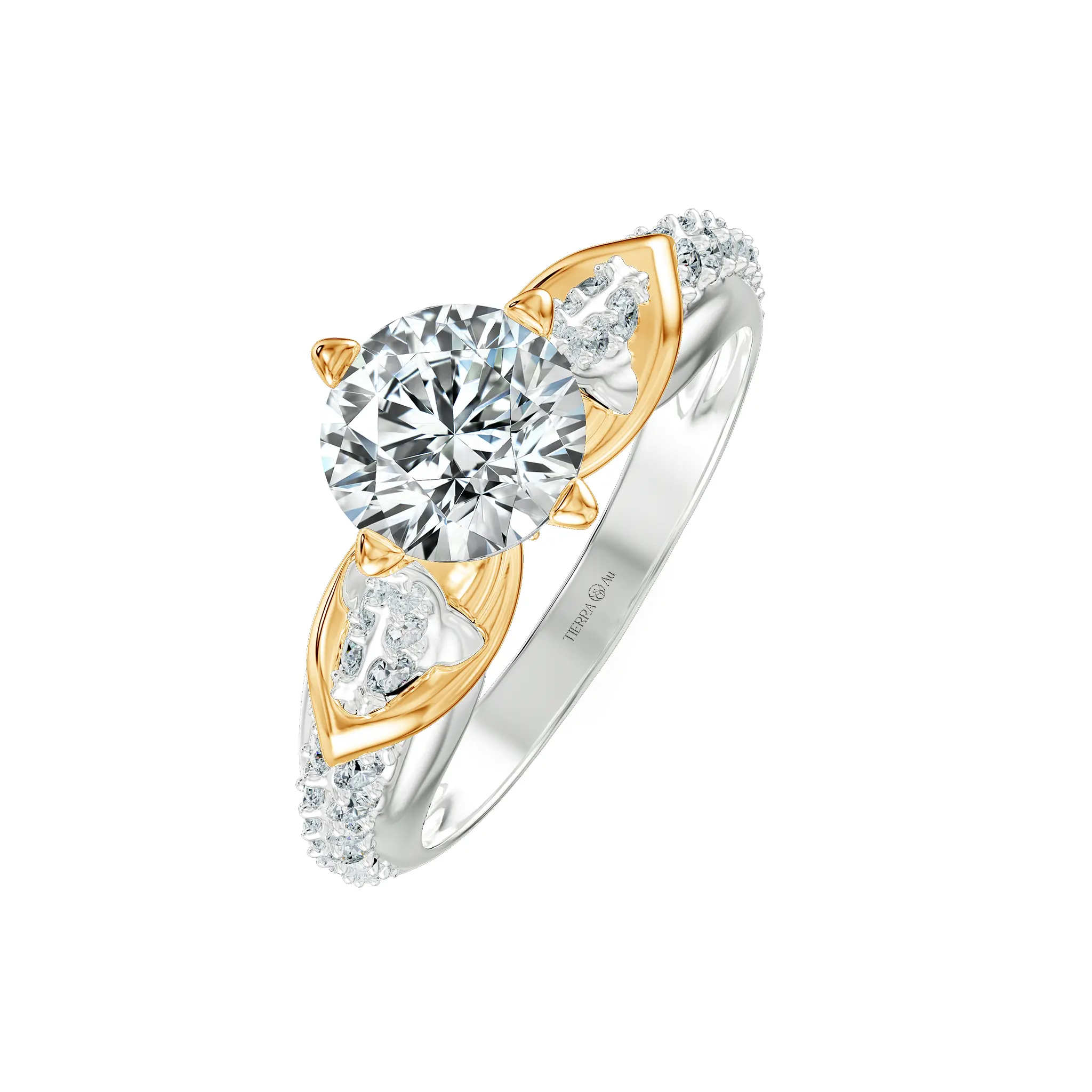 Image Related Product