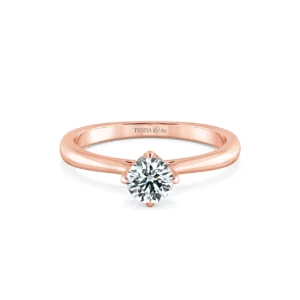 Nhẫn cầu hôn Tiny Bouquet NCH1310