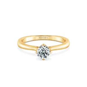 Nhẫn cầu hôn Tiny Bouquet NCH1310