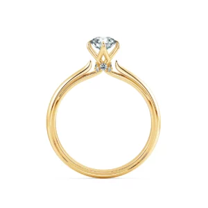 Nhẫn cầu hôn Tiny Bouquet NCH1310