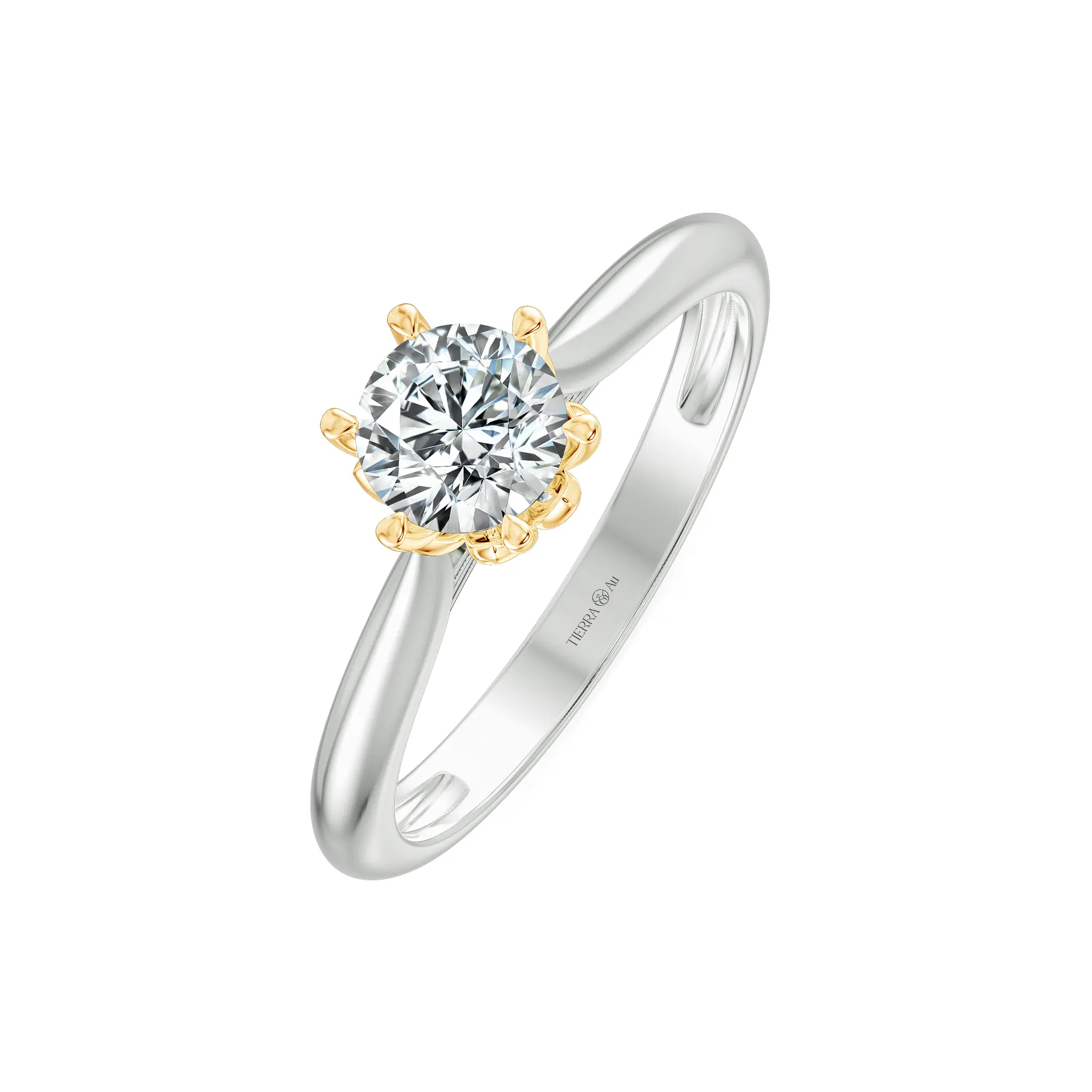 Image Related Product