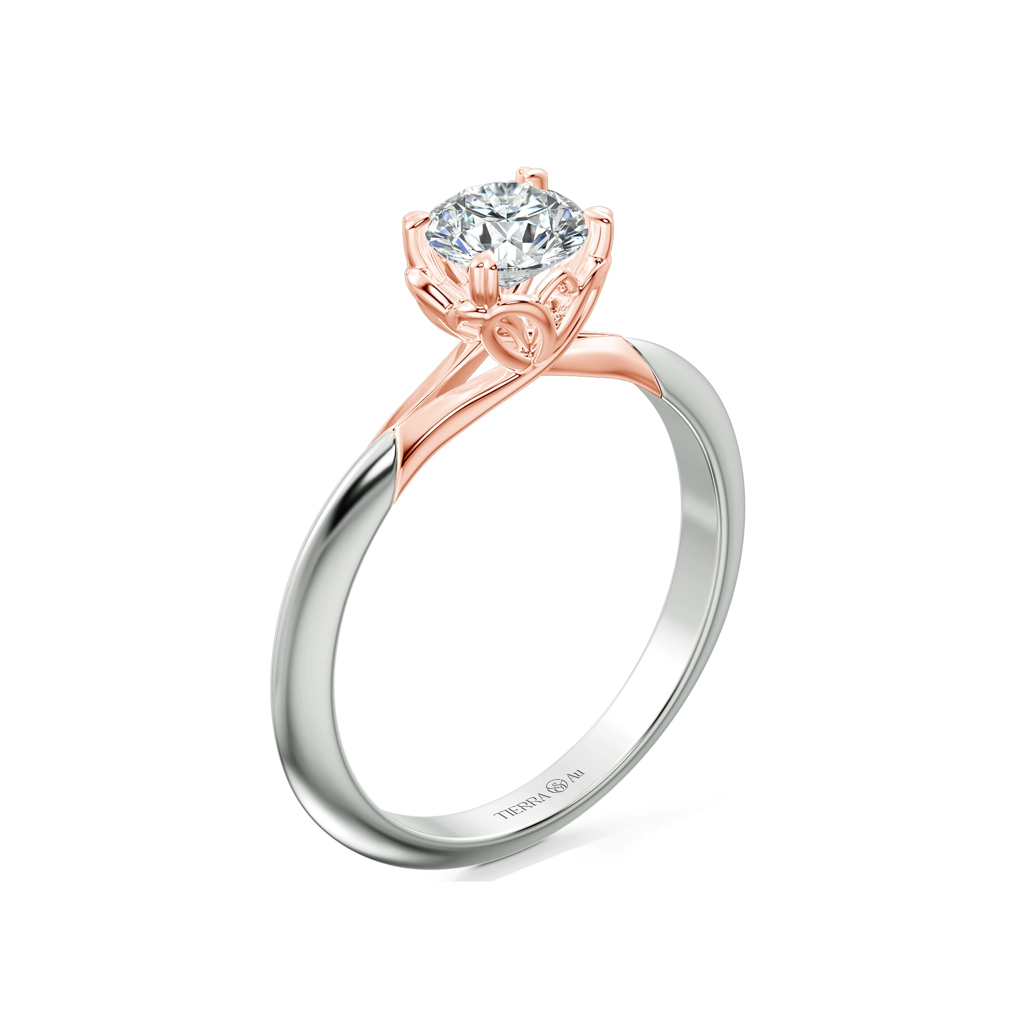 Image Related Product