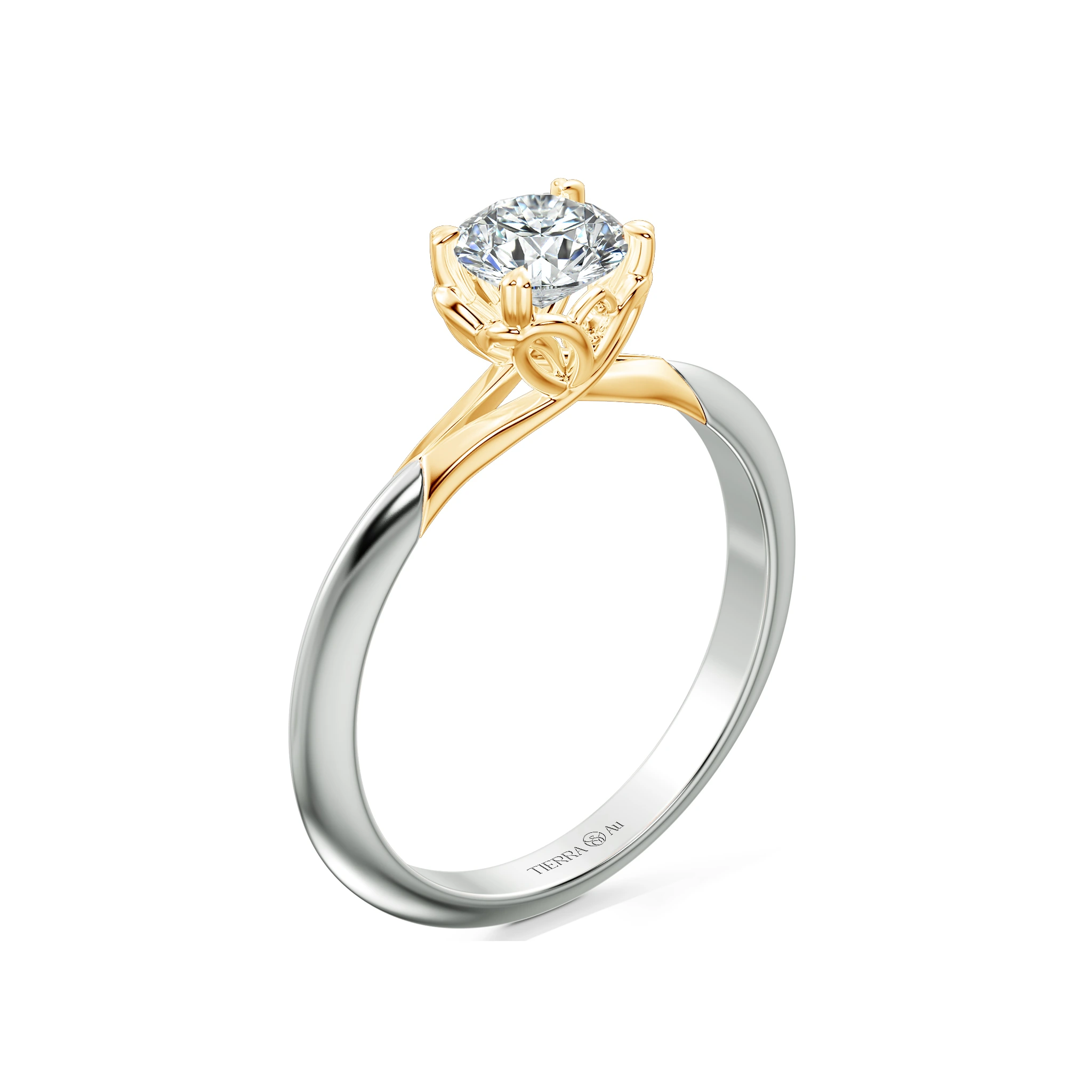 Image Related Product